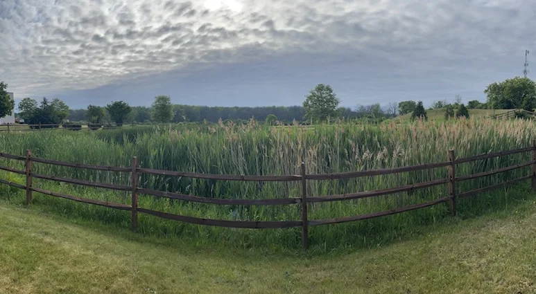 SUNRISE MEADOWS SENIOR LIVING