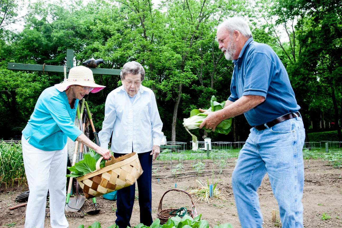 Abe’s Garden Community