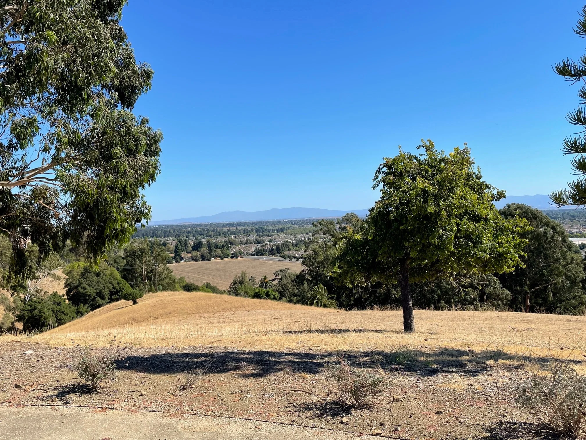 ACACIA CREEK