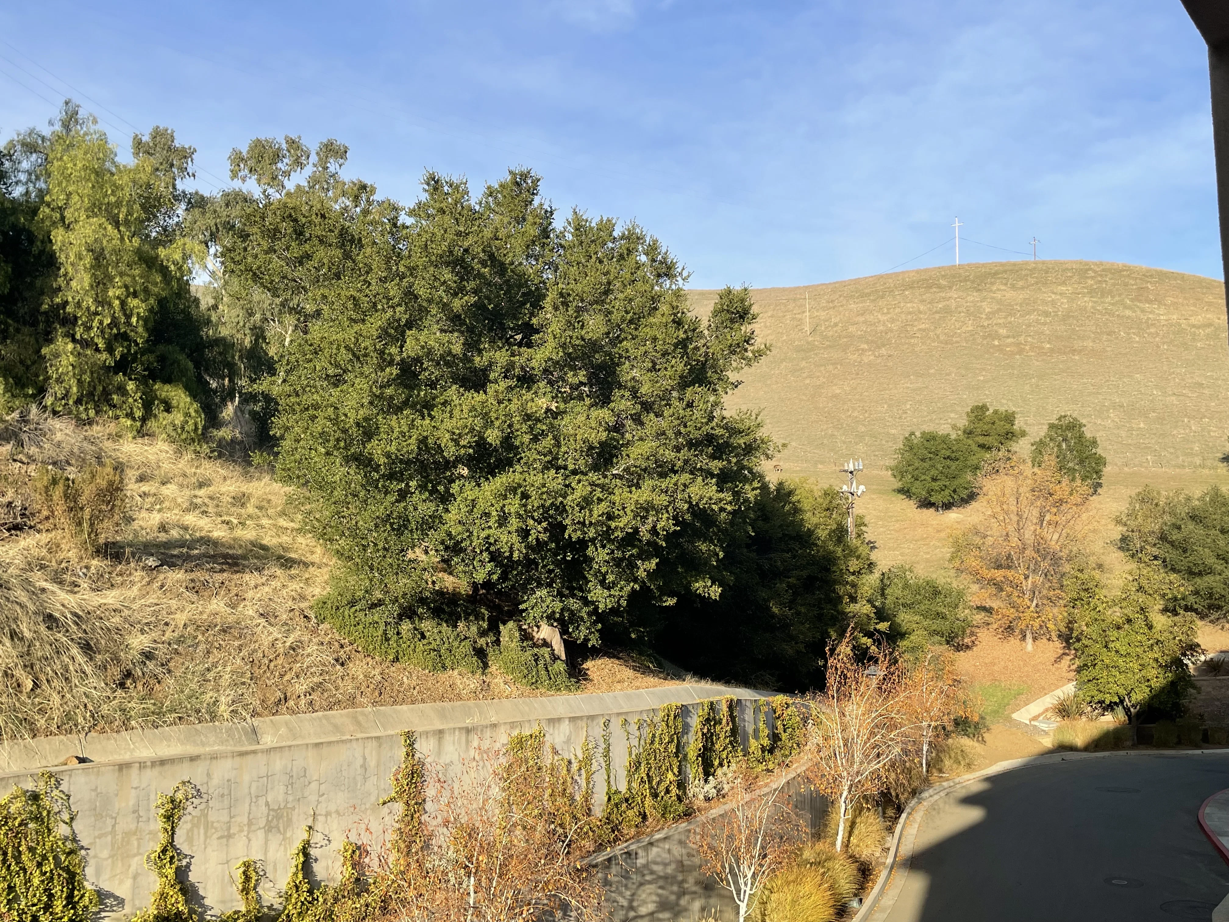 ACACIA CREEK