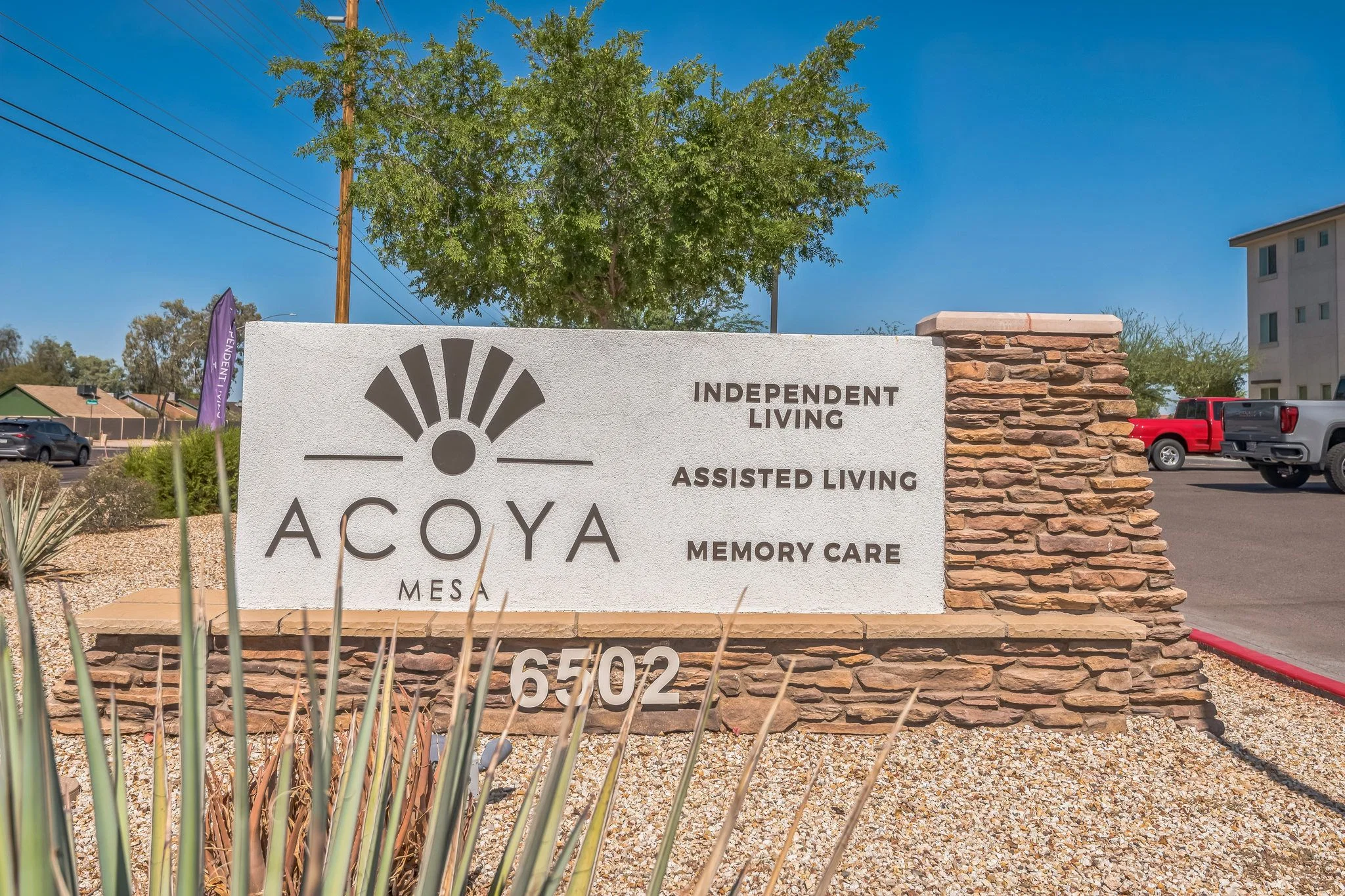 ACOYA MESA