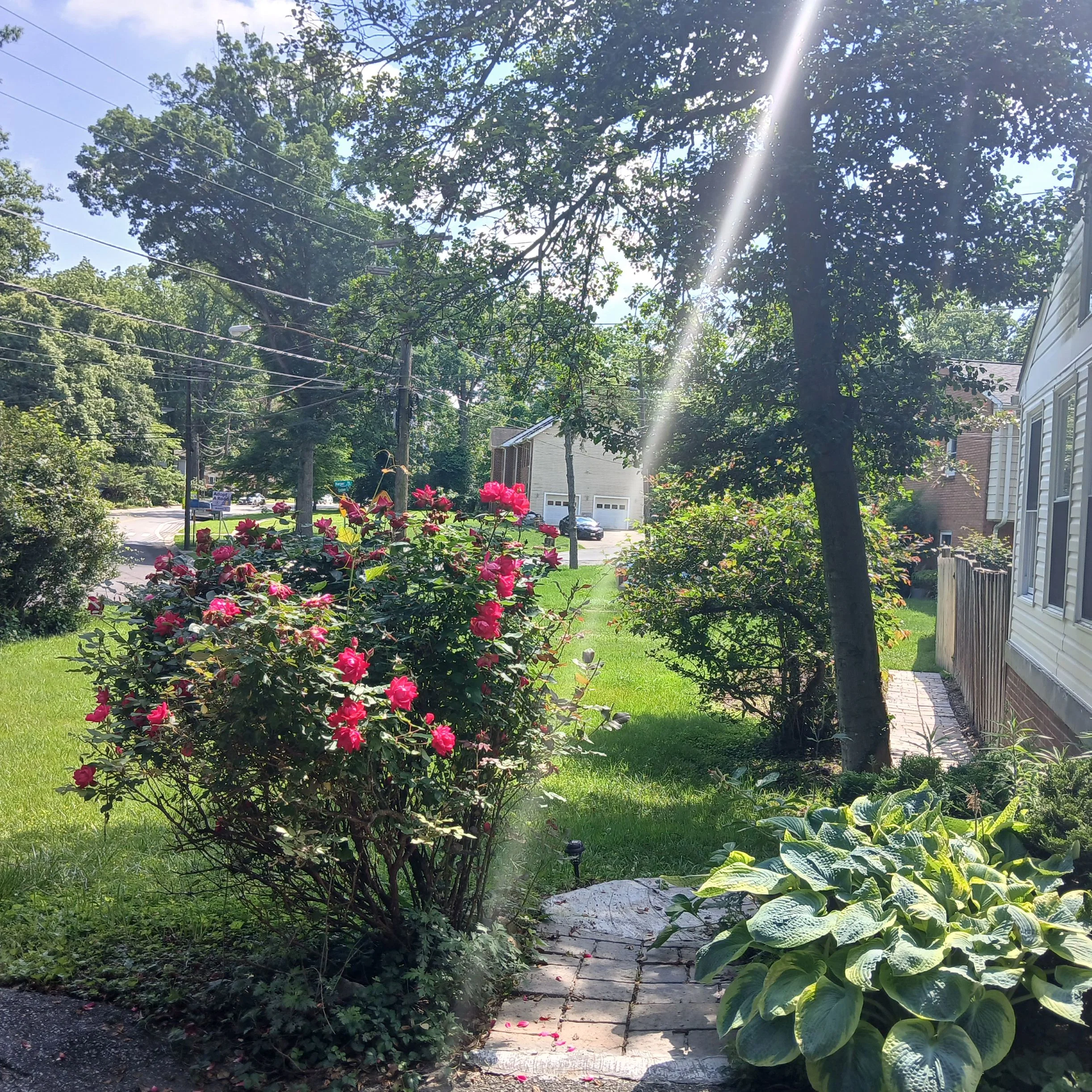 AGAPE LIVING ASSISTED LIVING
