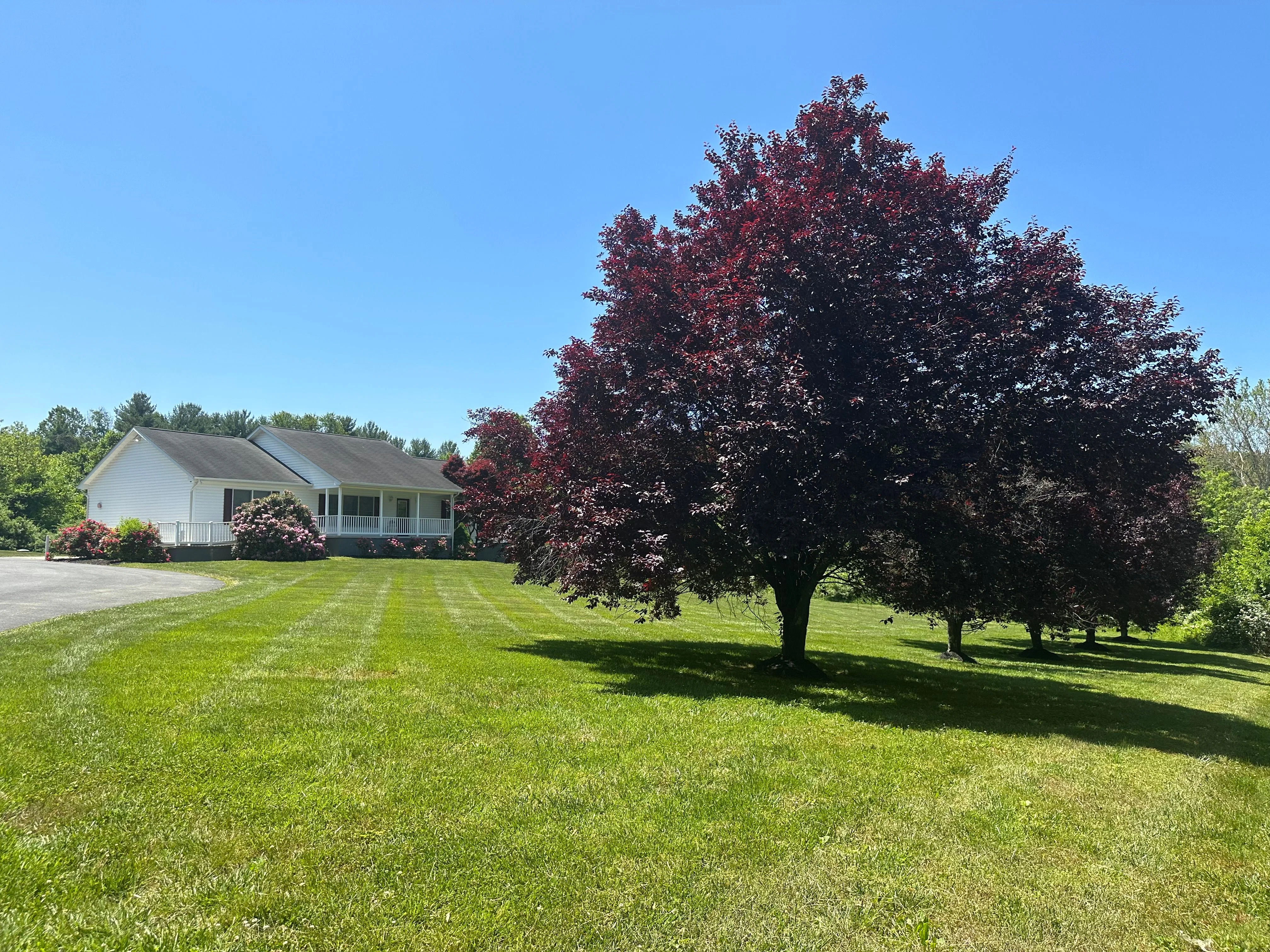 ALWAYS THERE ASSISTED LIVING FACILITY