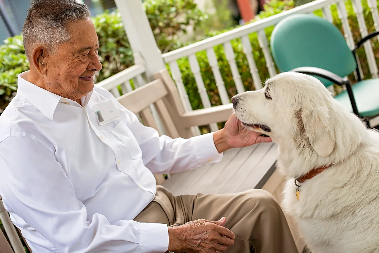 ALZHEIMER'S FAMILY CENTER