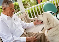 ALZHEIMER'S FAMILY CENTER