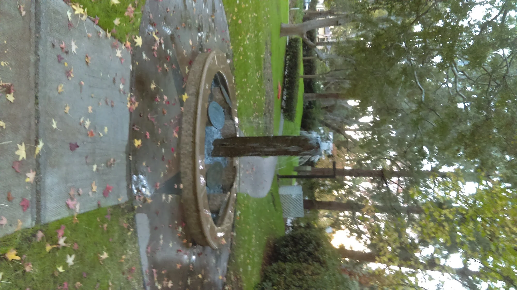 American Gold Star Manor