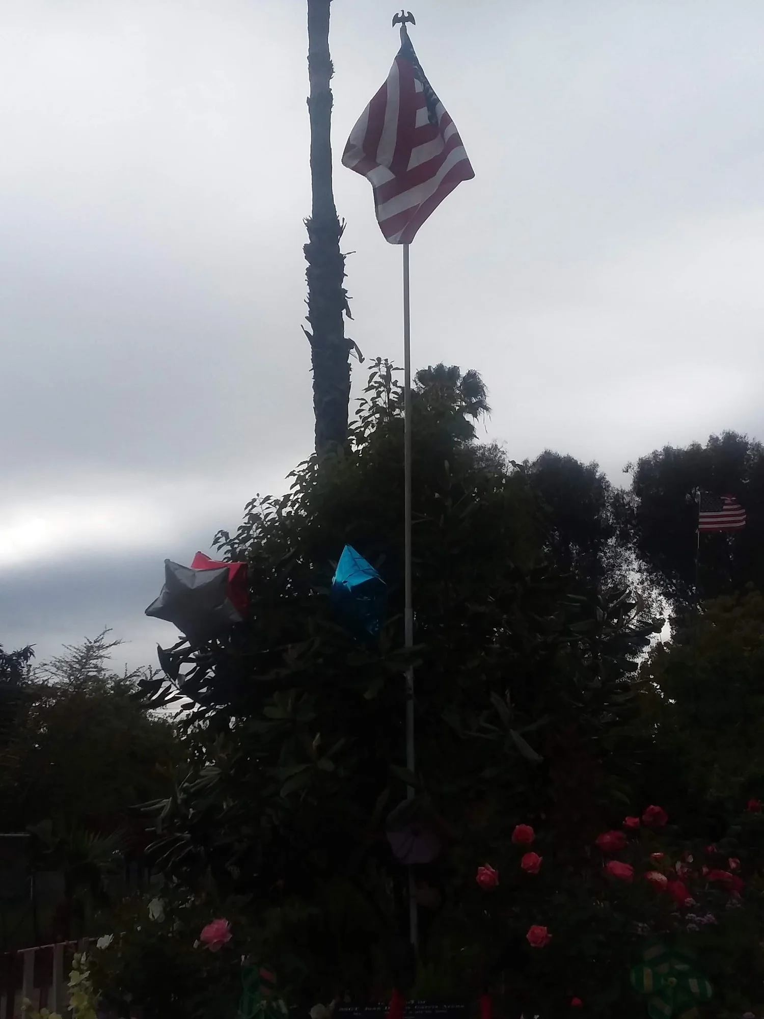 American Gold Star Manor