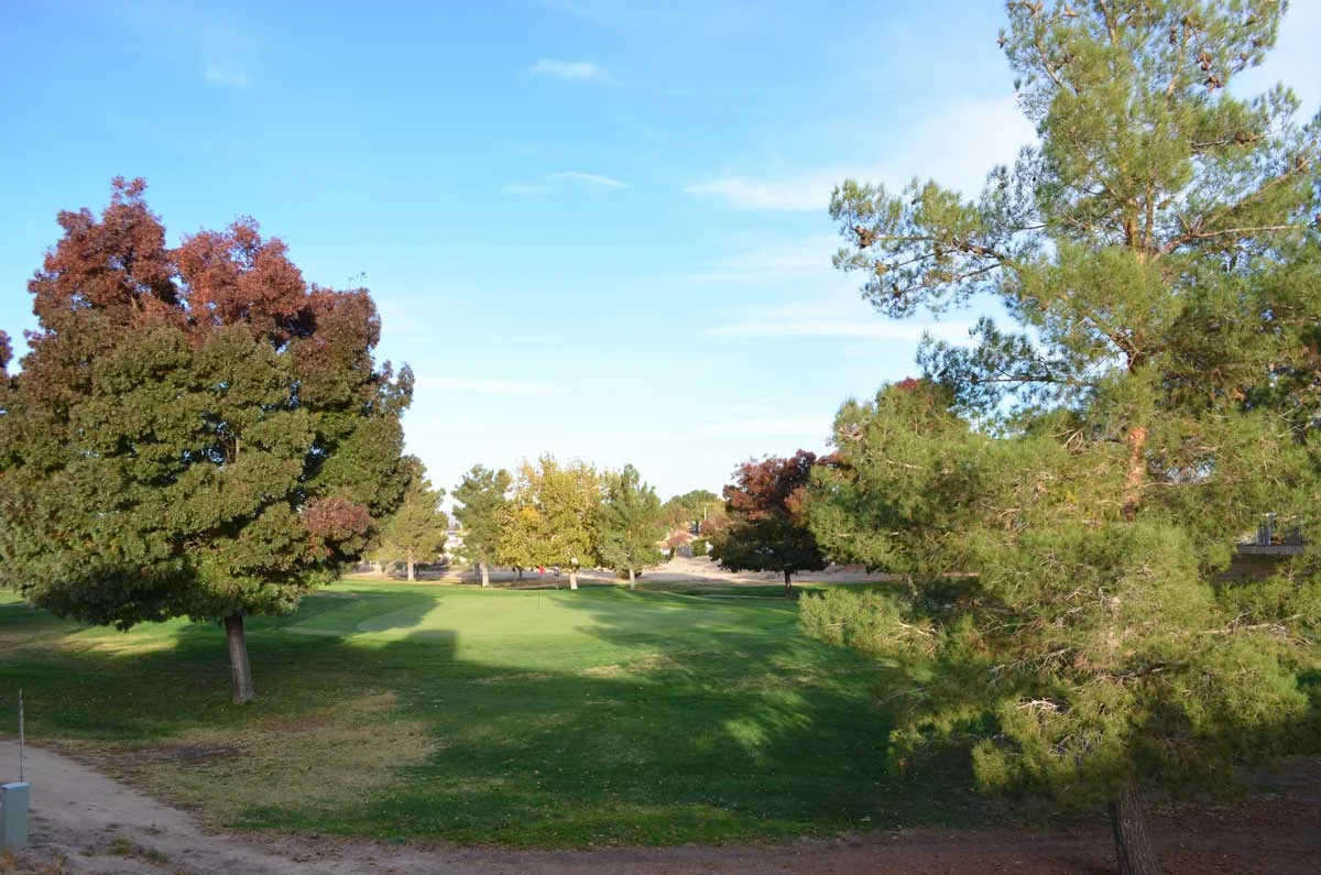 ASSISTED LIVING VICTORVILLE | GREEN TREE RESIDENCE LLC