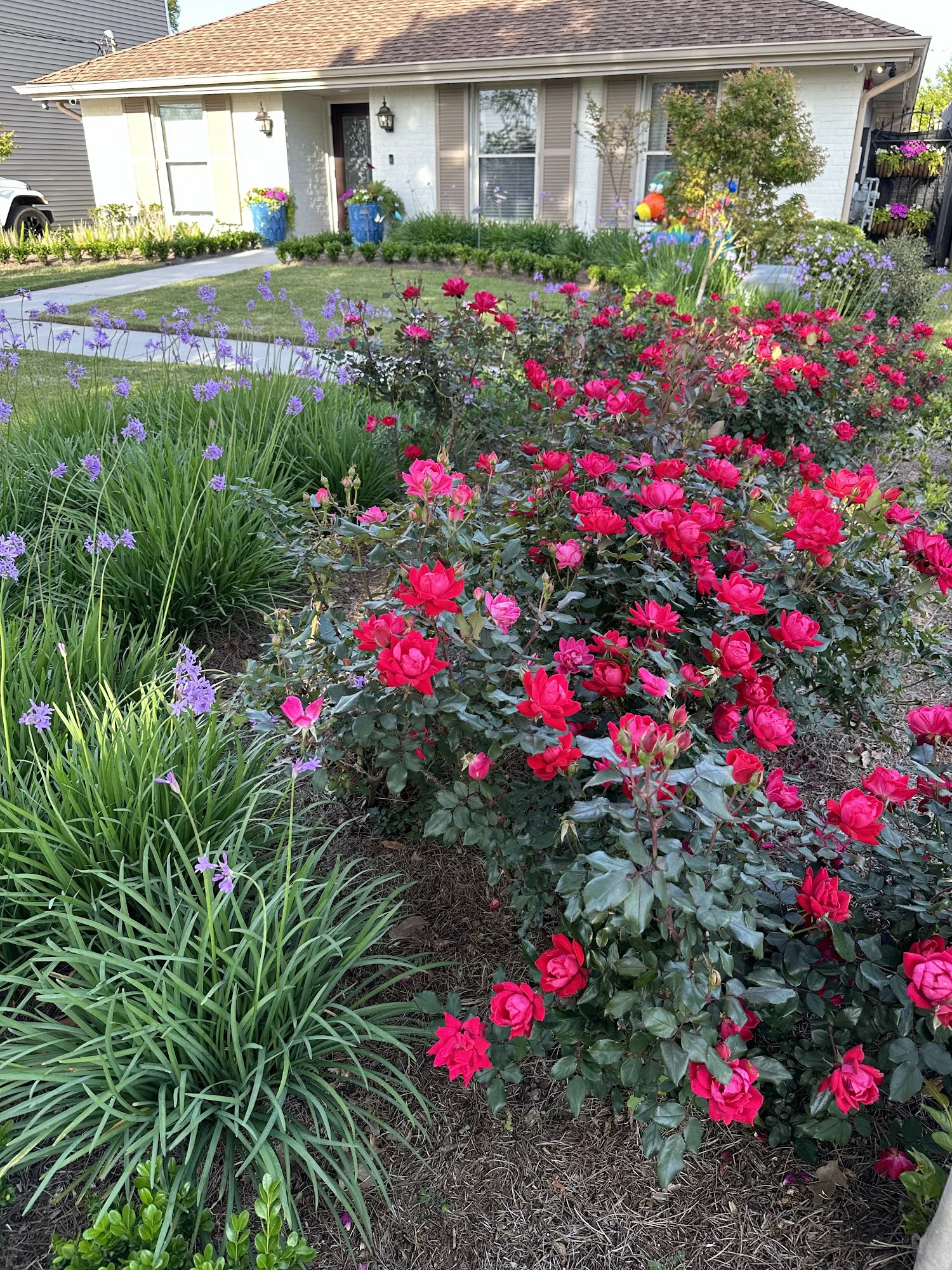 Audubon Care Homes - Dreyfous House
