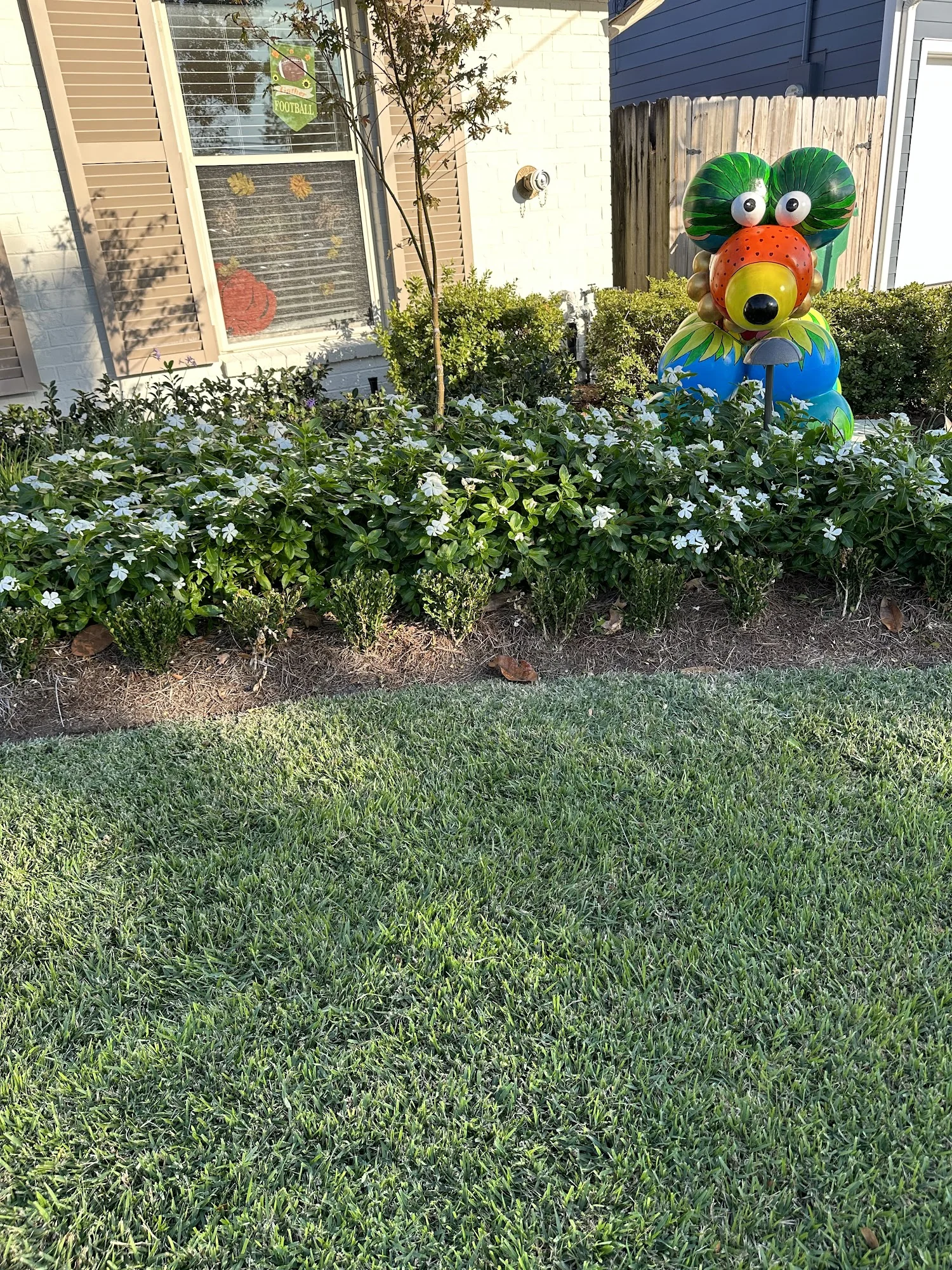 Audubon Care Homes - Dreyfous House