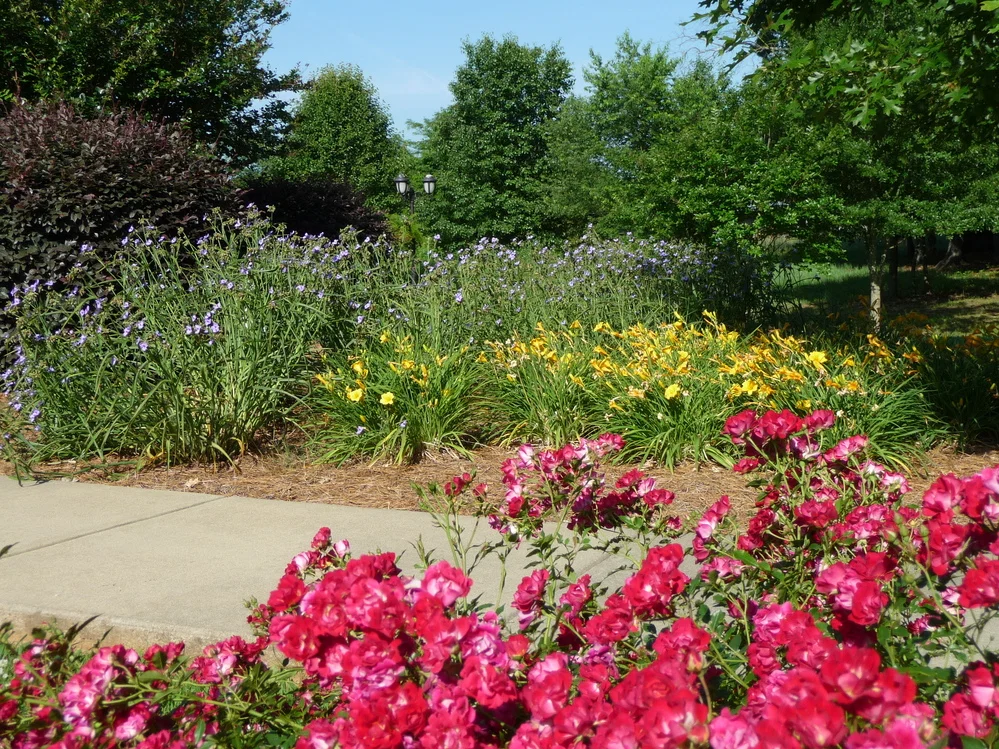 AUTUMN COVE ASSISTED LIVING & MEMORY CARE