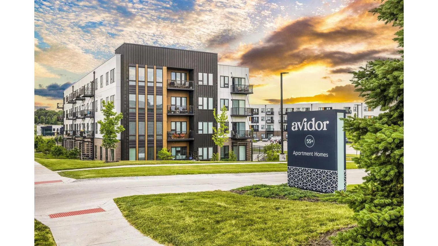 Avidor Omaha