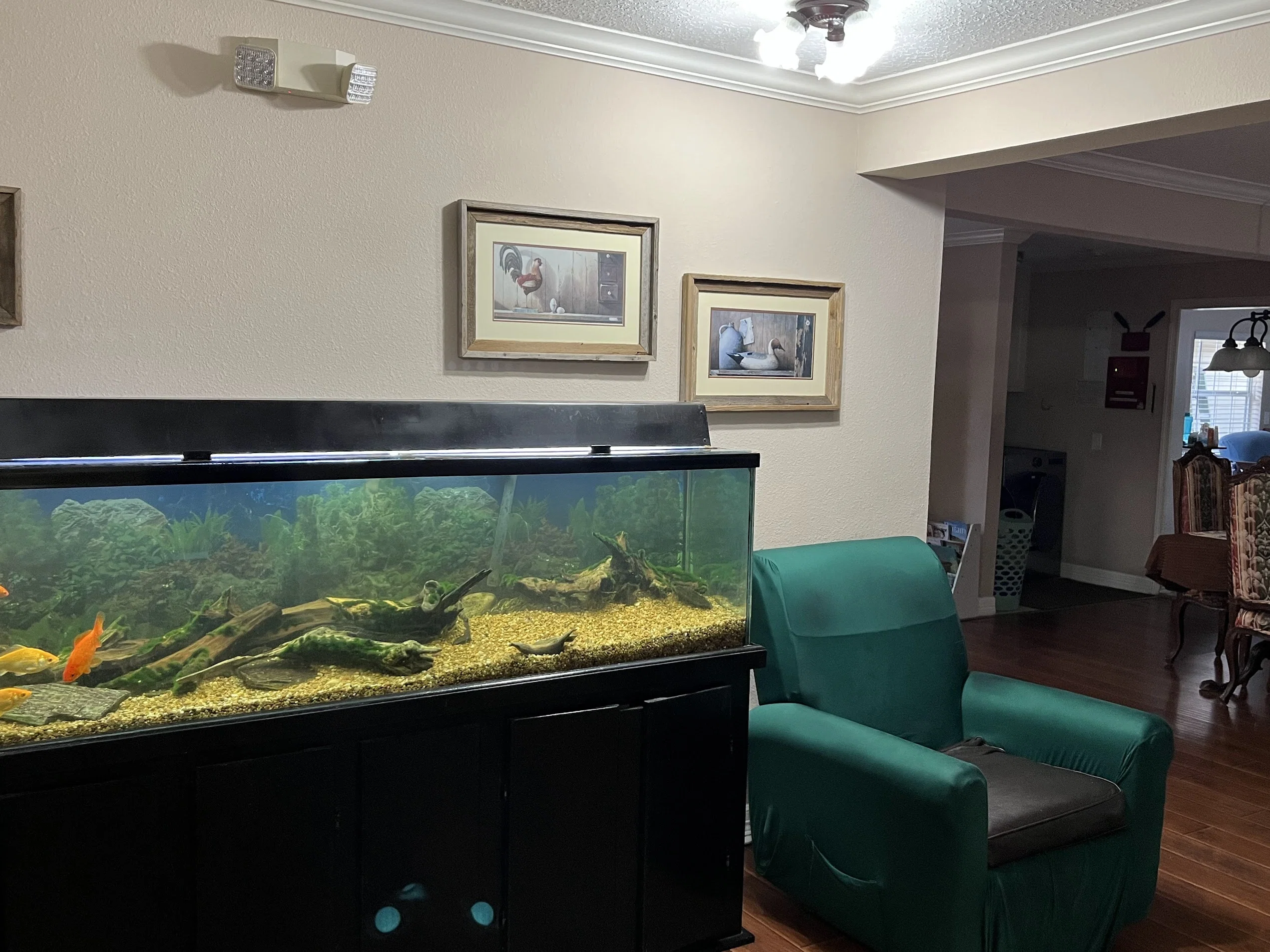AVISTA HOME