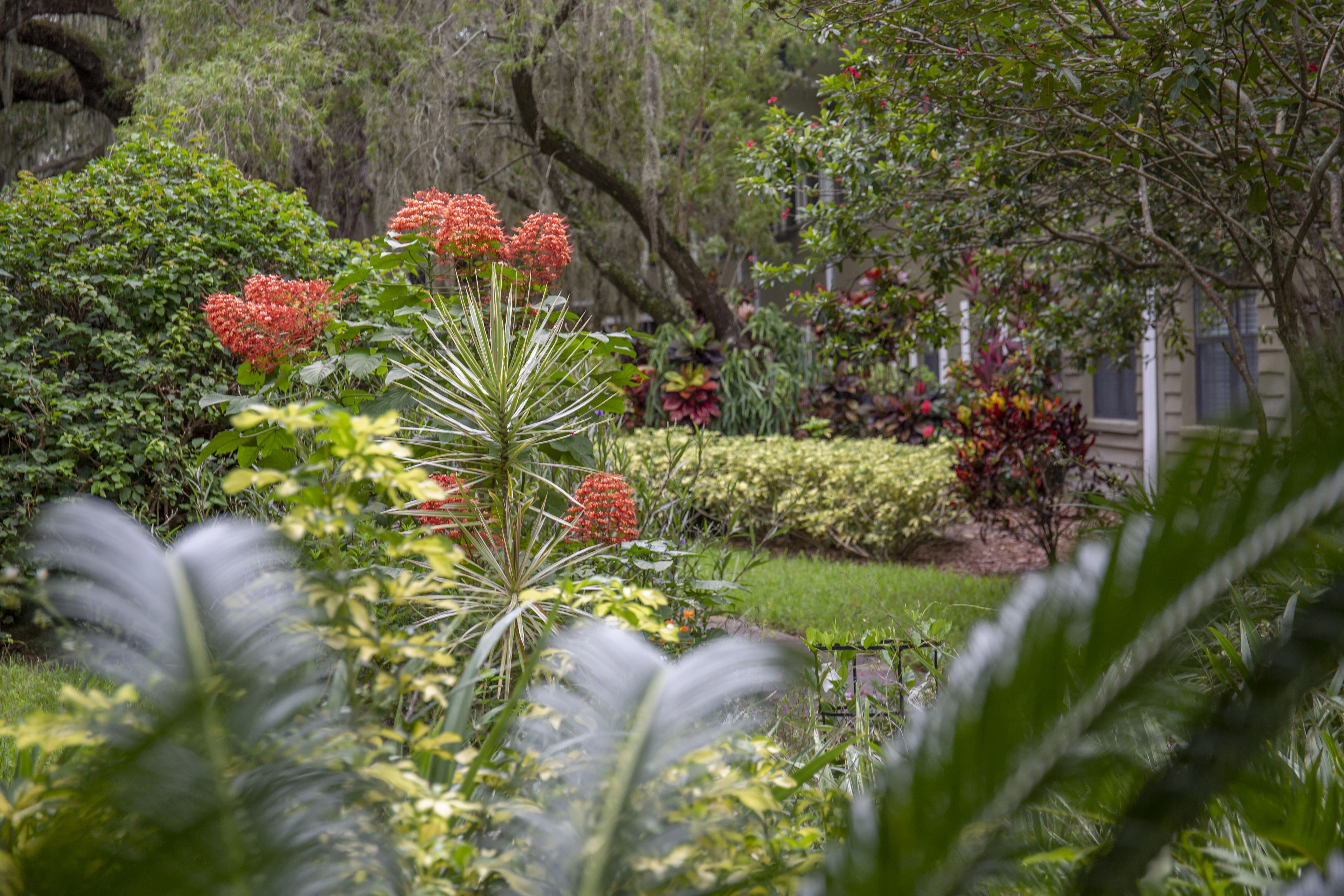 BROOKDALE SARASOTA MIDTOWN