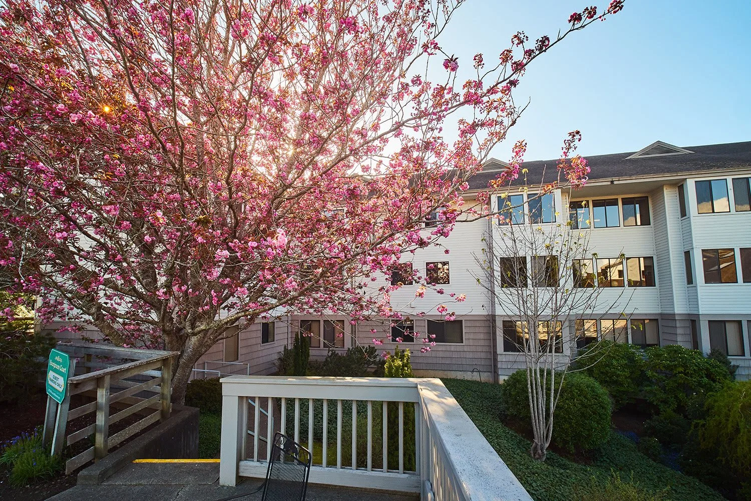 Baycrest Village