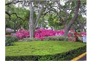 BAYSHORE PRESBYTERIAN APARTMENTS