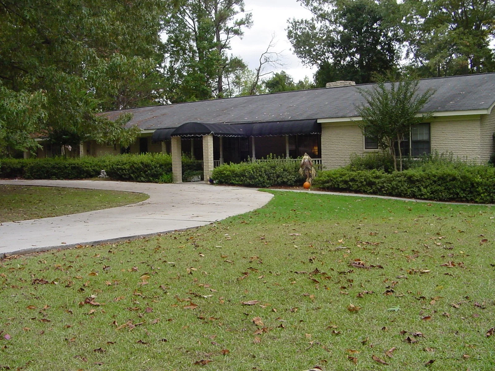 BELLA WOOD SENIOR LIVING