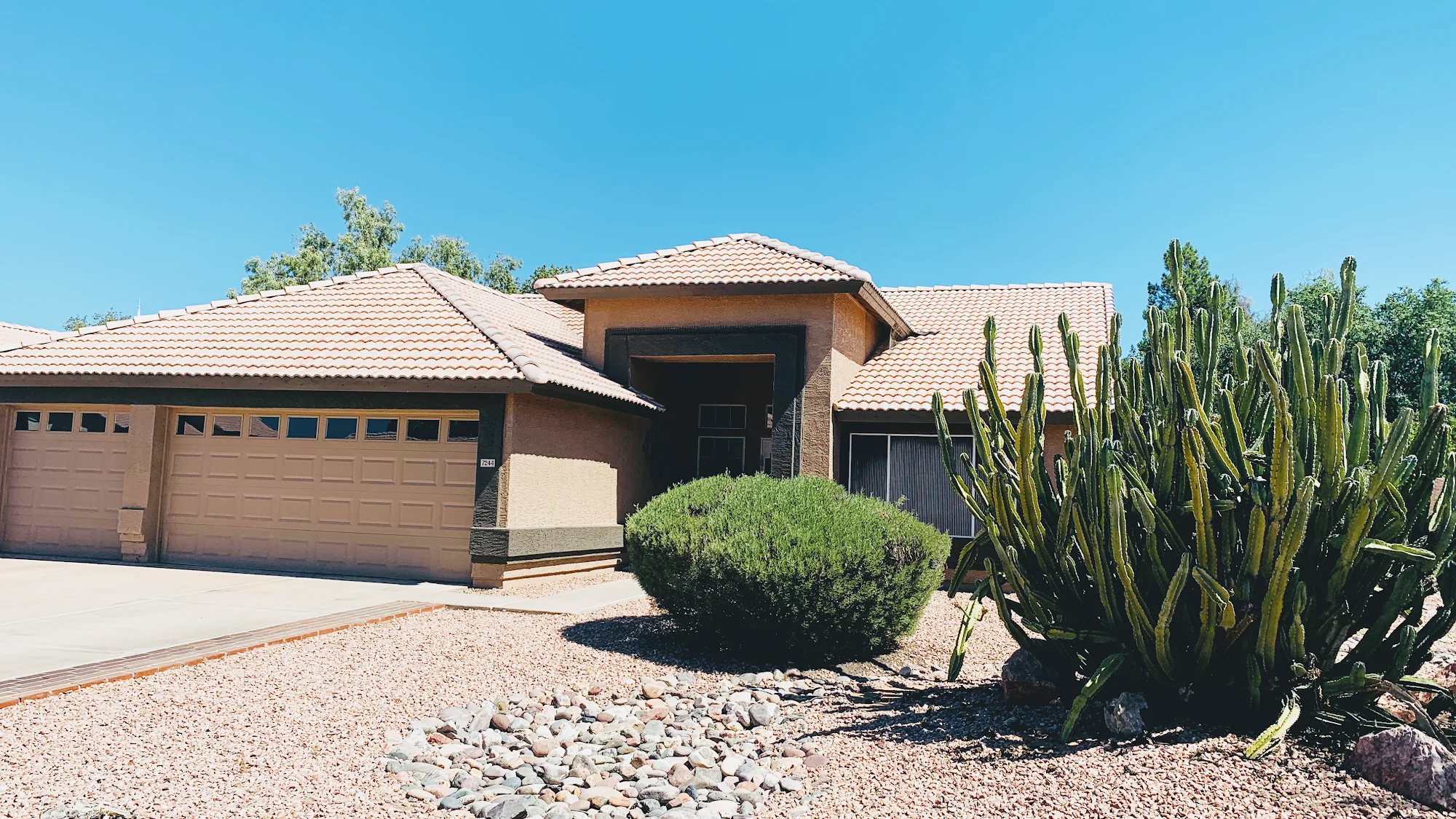 Bella Vista Assisted Living Home LLC