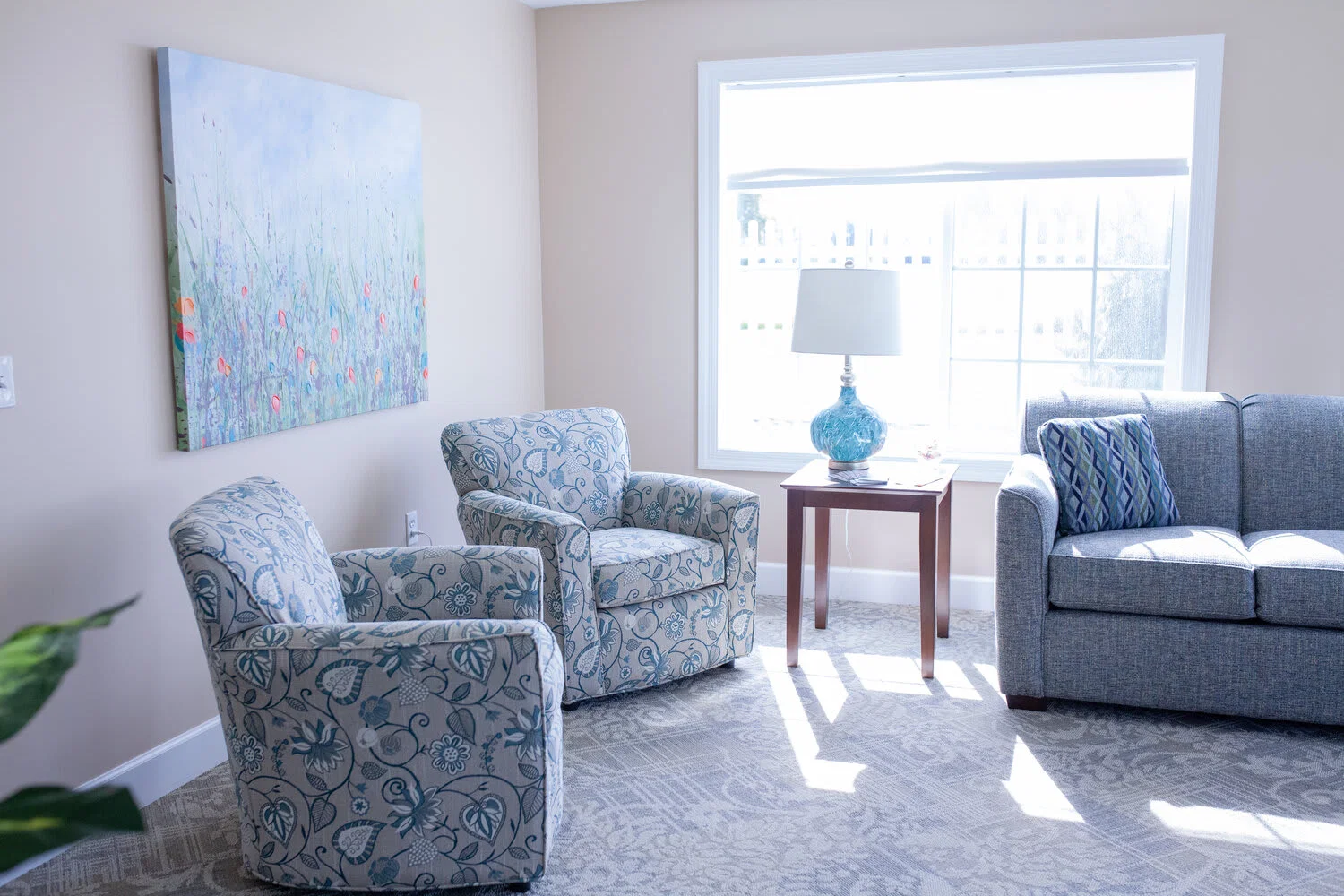 Birch Run Fields Assisted Living