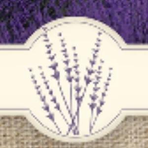 Blossom Creeks Assisted Living