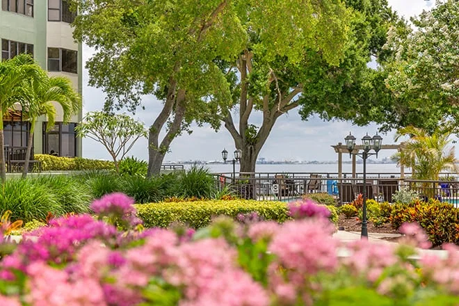 Brookdale Bayshore - Assisted Living photo