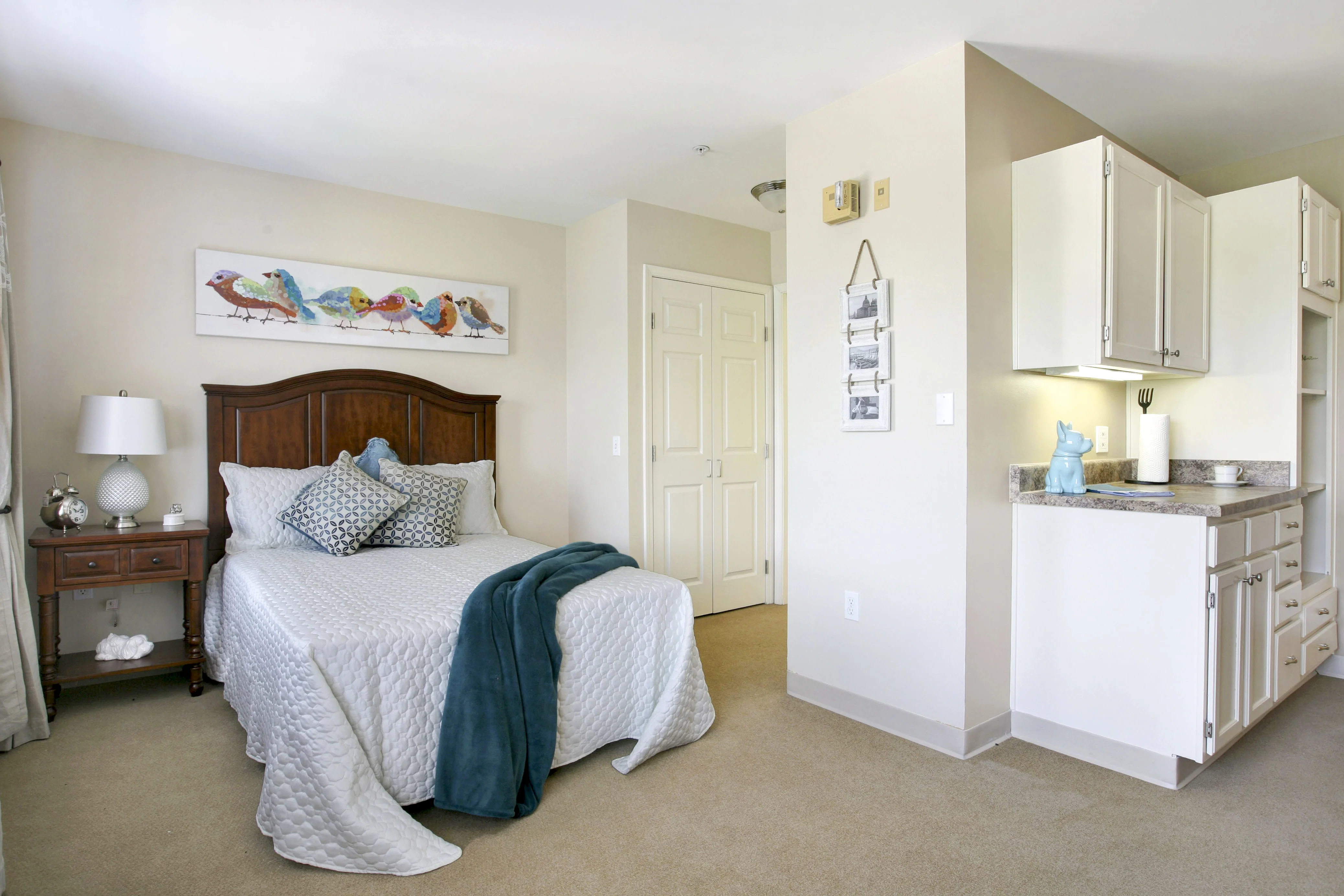 BELLEVIEW SUITES AT DTC