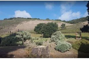 CARMEL VALLEY MANOR