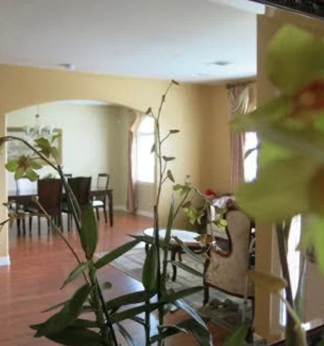 CARNELIAN VILLAS HOME CARE