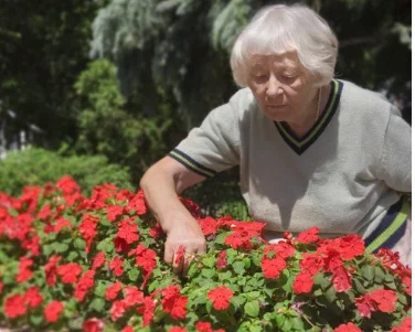 CEDAR HILLS SENIOR LIVING