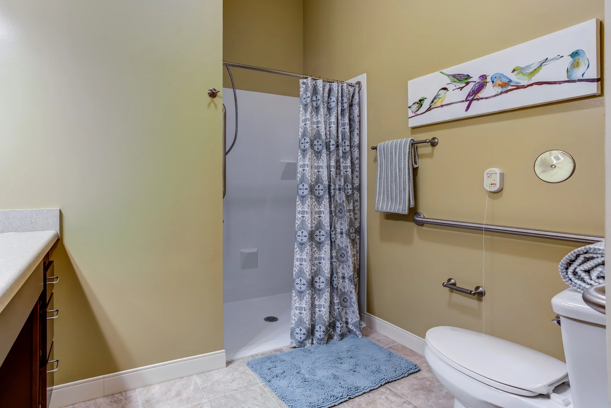 Cedarhurst Senior Living of Des Peres