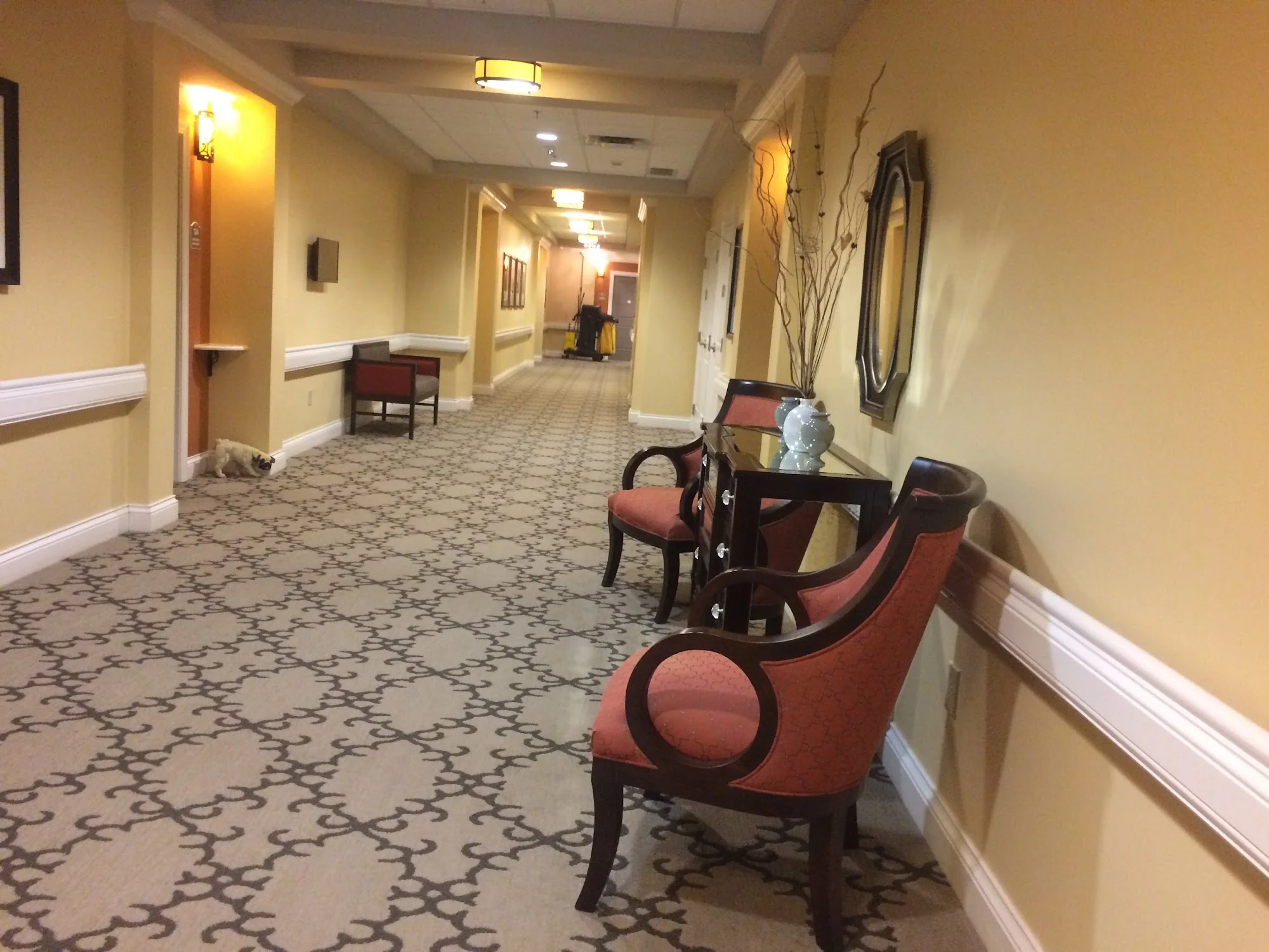 Cedarhurst Senior Living of East Louisville