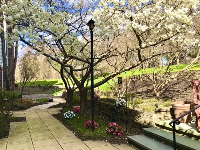 CHARTER SENIOR LIVING OF TOWSON