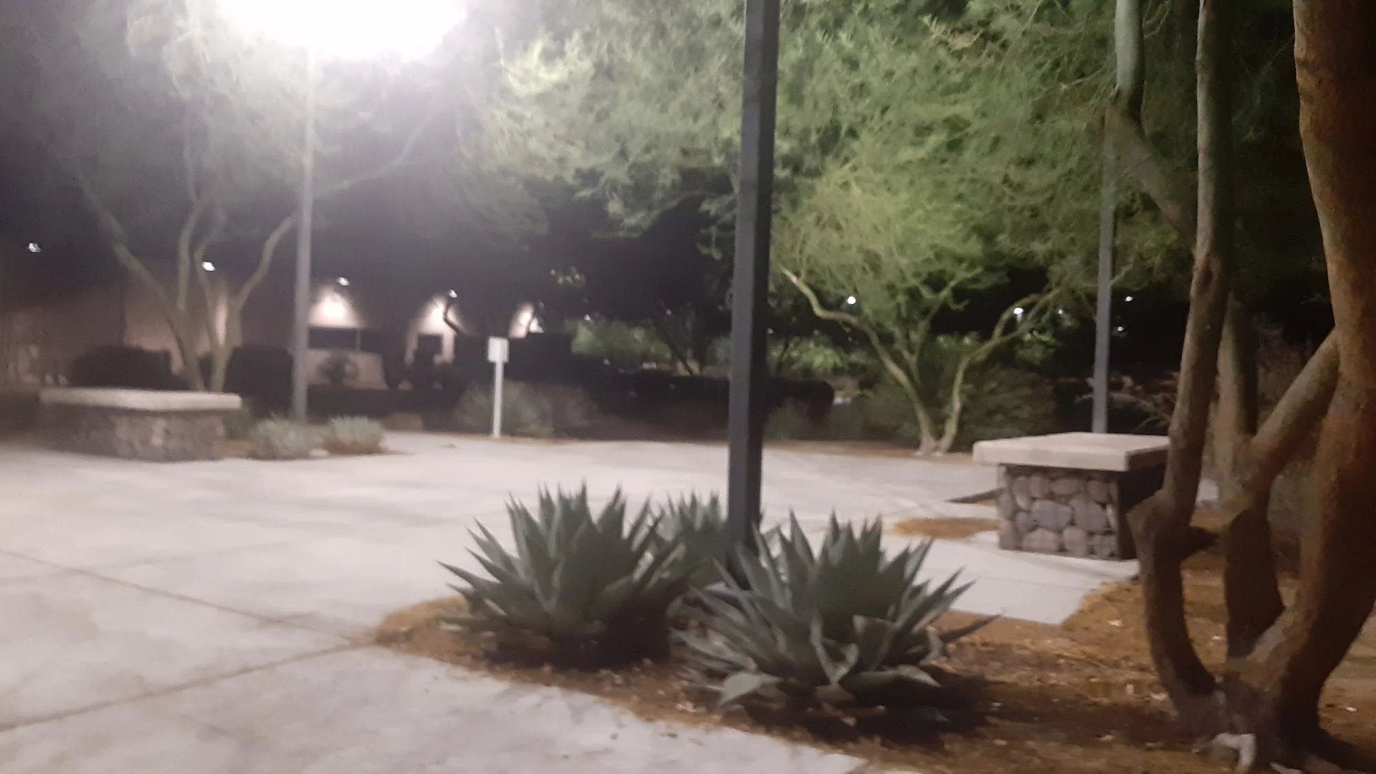 City of Henderson Heritage Park Senior Facility