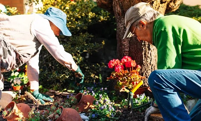 Clear Creek Memory Care