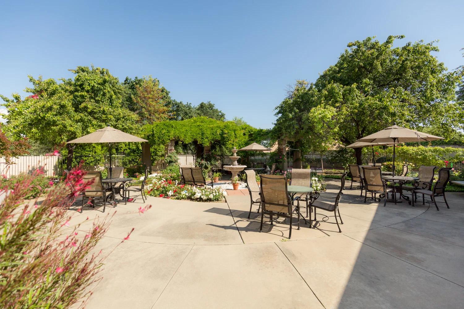 COGIR OF STOCK RANCH SENIOR LIVING