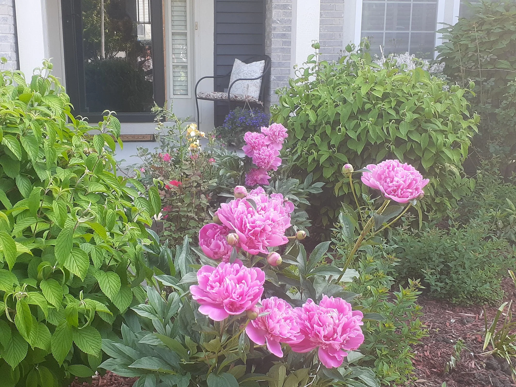 Colfax Manor Assisted Living