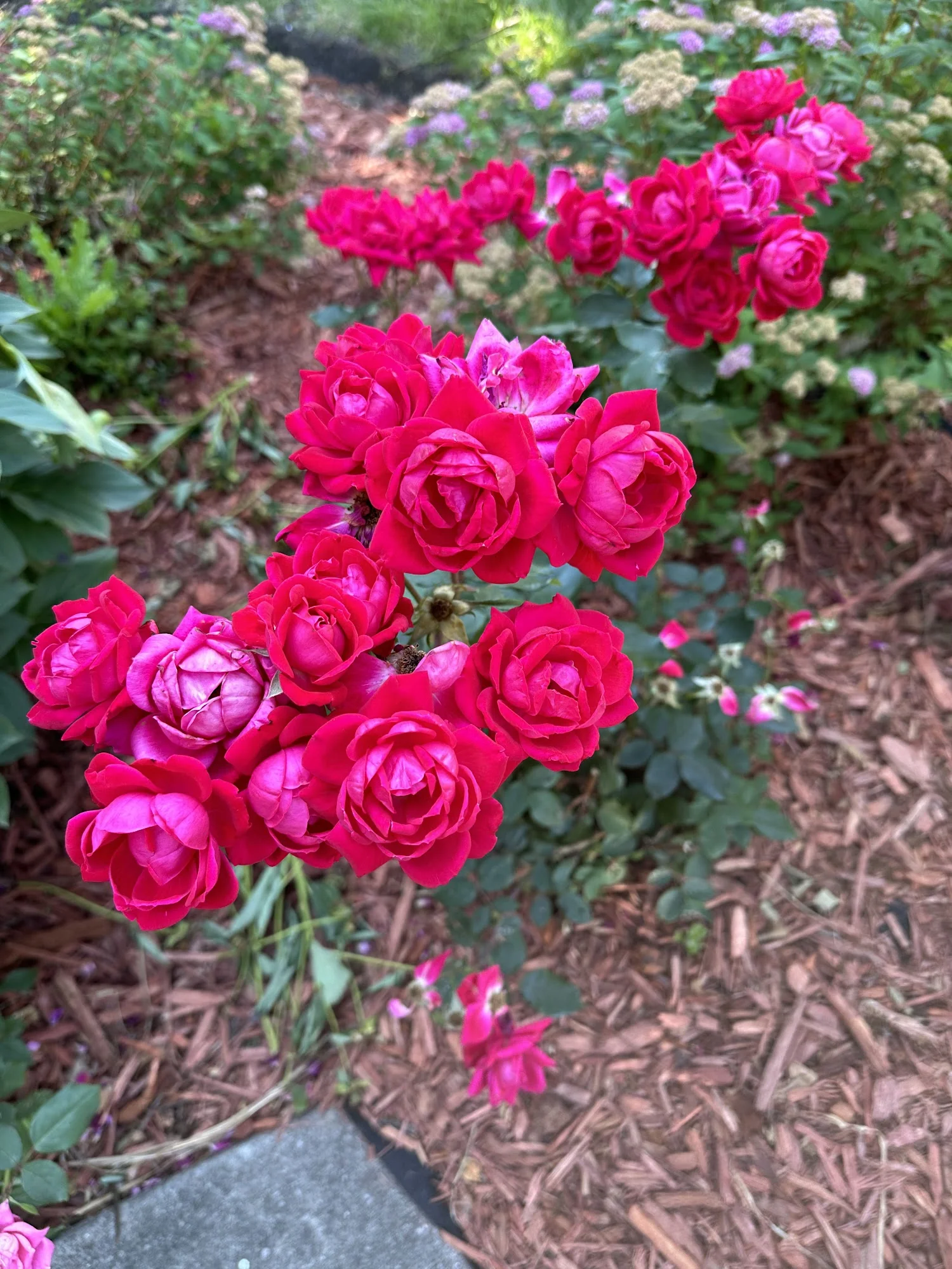 Colfax Manor Assisted Living