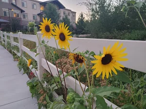 Creekside Assisted & Senior Living