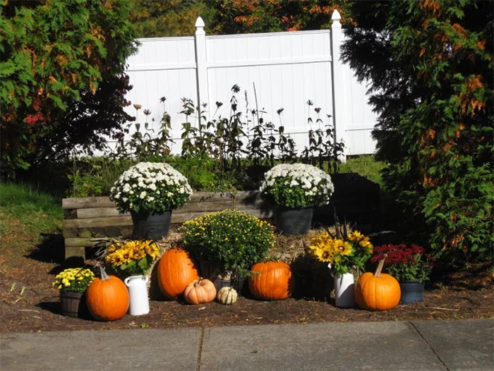 DANFORTH ADULT CARE CENTER
