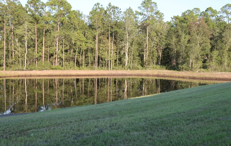 DAYSPRING SENIOR LIVING