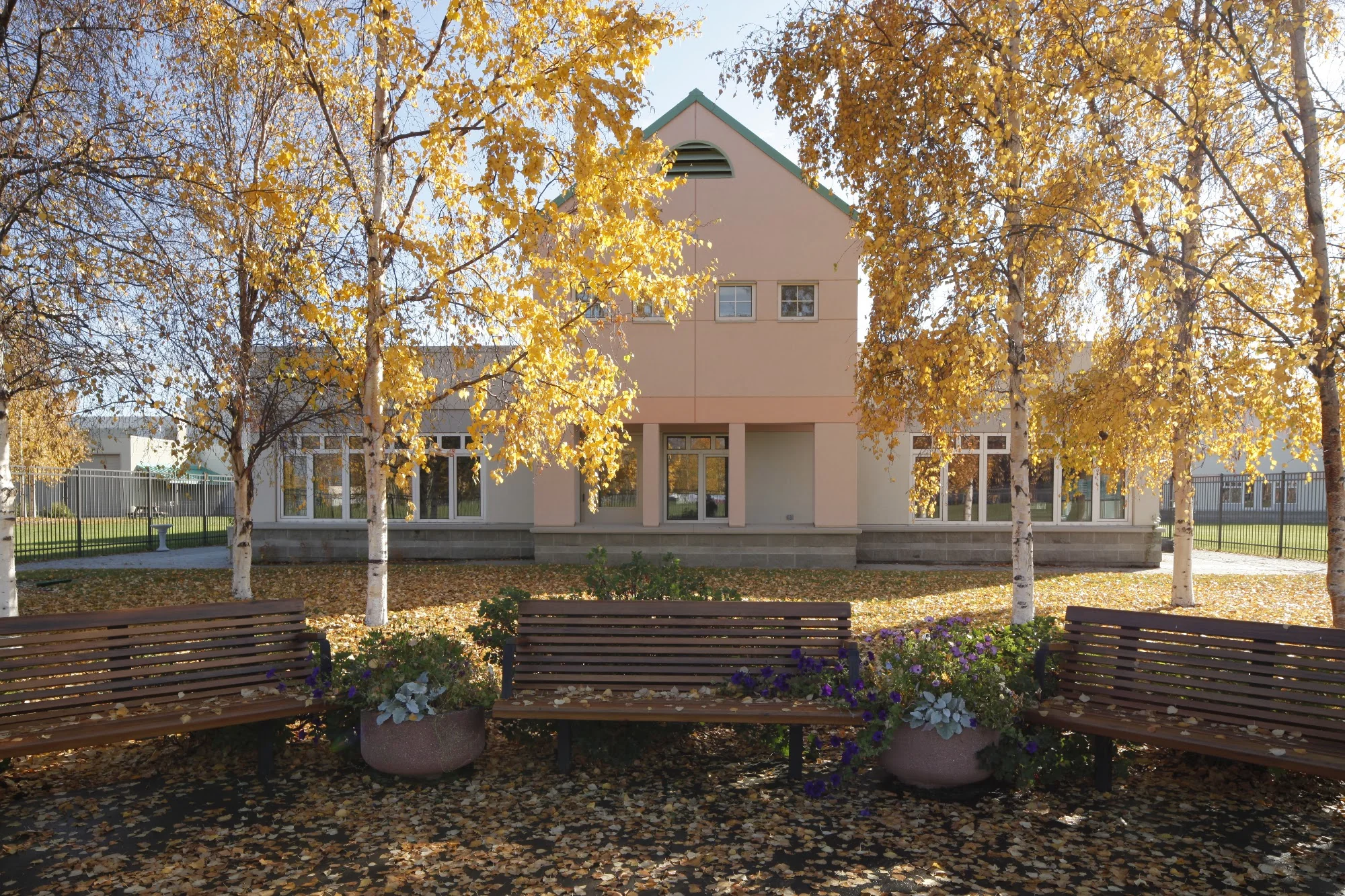 Denali Center