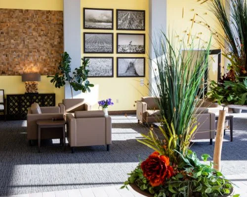 DOVE ESTATES SENIOR LIVING