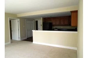 DUNWOODY VILLAGE