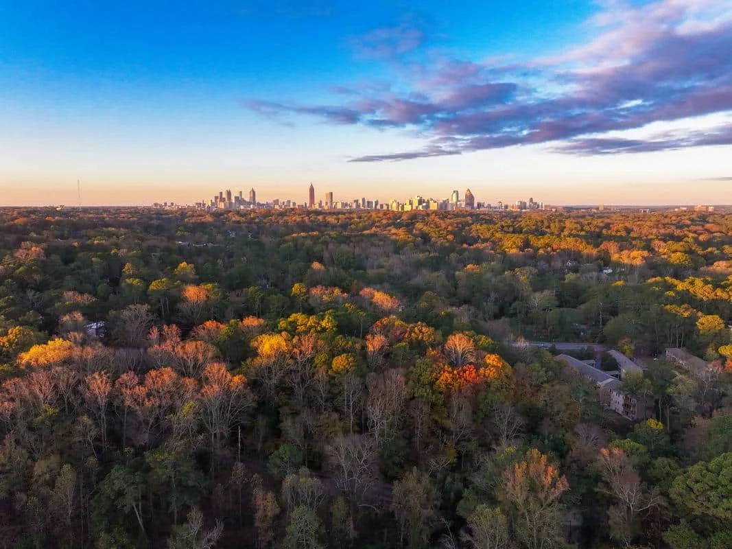 Dunwoody Place