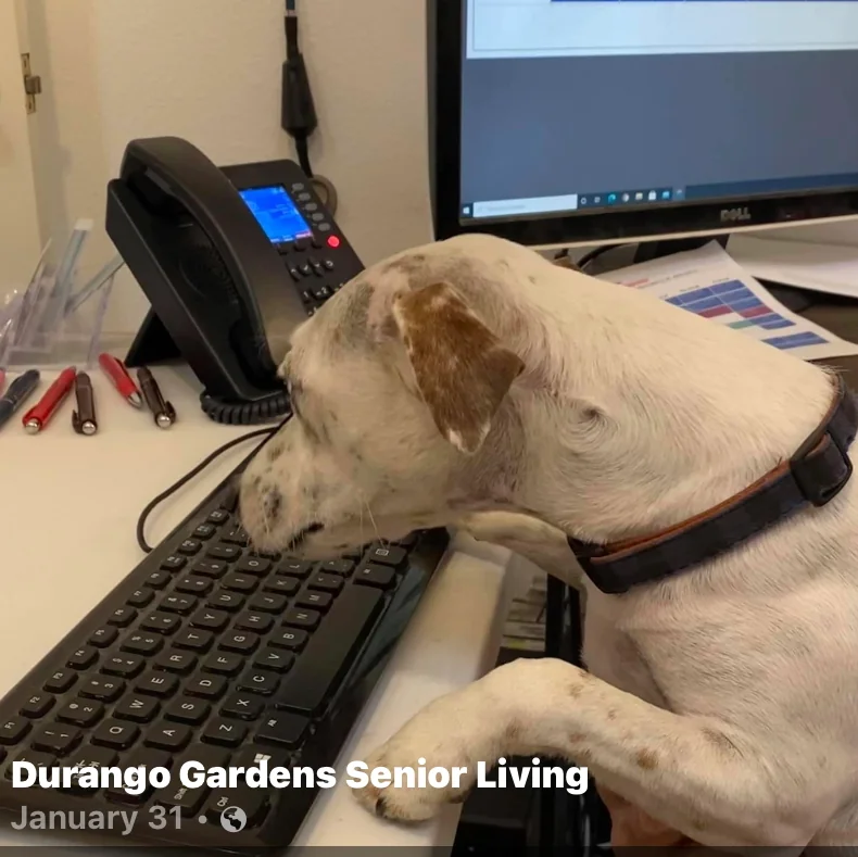 Durango Gardens Senior Living
