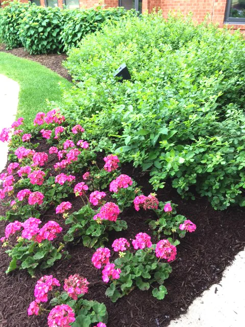 Eden Supportive Living Fox Valley