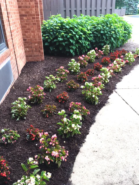 Eden Supportive Living Fox Valley