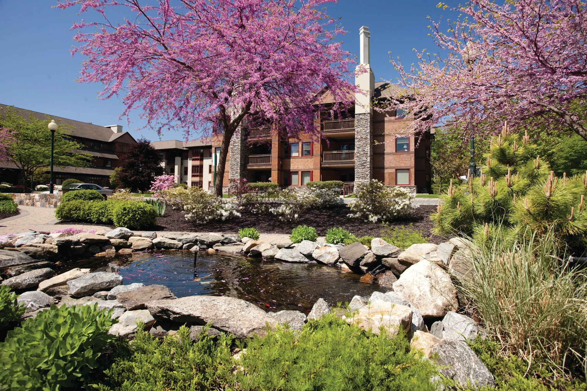 Edgehill