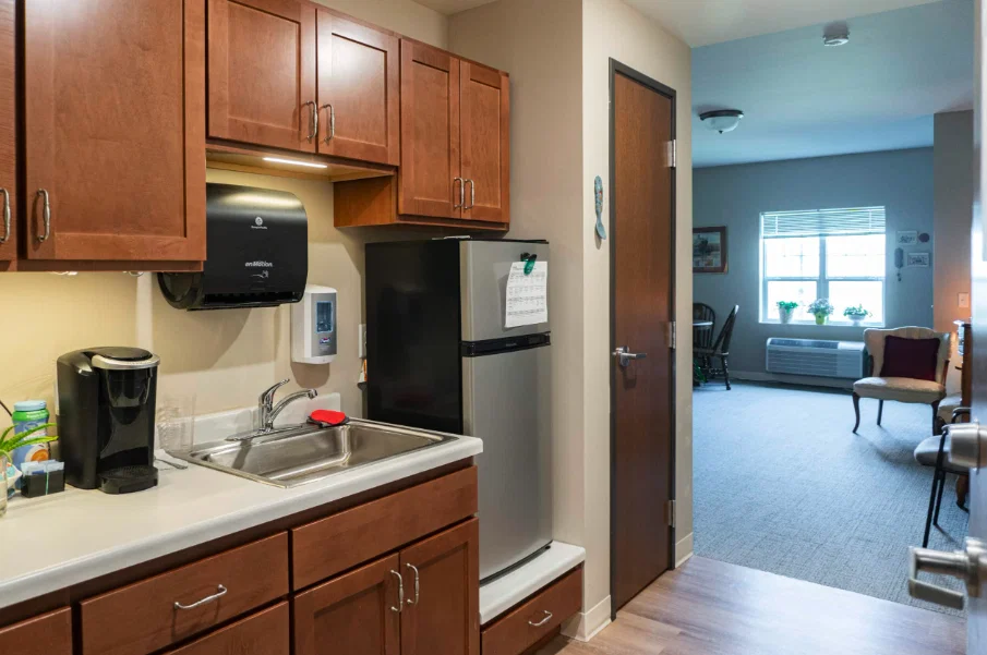 ELYSIAN SENIOR HOMES OF DULUTH