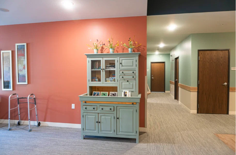 ELYSIAN SENIOR HOMES OF DULUTH
